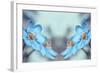 Blue Twins-Heidi Westum-Framed Photographic Print