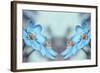 Blue Twins-Heidi Westum-Framed Photographic Print