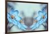 Blue Twins-Heidi Westum-Framed Photographic Print