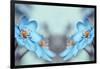 Blue Twins-Heidi Westum-Framed Photographic Print