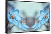 Blue Twins-Heidi Westum-Framed Stretched Canvas