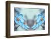 Blue Twins-Heidi Westum-Framed Photographic Print