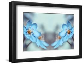 Blue Twins-Heidi Westum-Framed Photographic Print