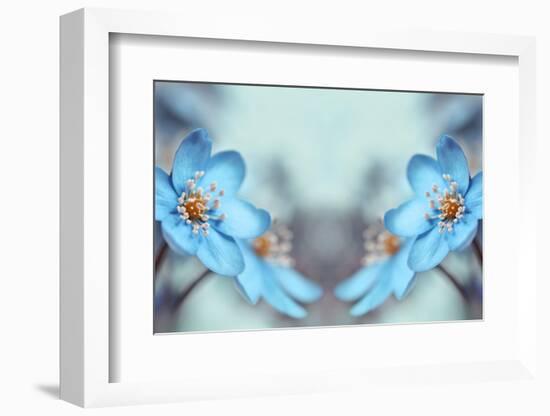 Blue Twins-Heidi Westum-Framed Photographic Print