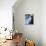 Blue Vase-Ursula Abresch-Photographic Print displayed on a wall