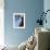 Blue Vase-Ursula Abresch-Framed Photographic Print displayed on a wall