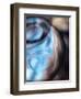 Blue Vase-Ursula Abresch-Framed Premium Photographic Print