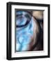 Blue Vase-Ursula Abresch-Framed Photographic Print