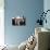 Blue Velvet (photo)-null-Mounted Photo displayed on a wall