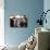 Blue Velvet (photo)-null-Photo displayed on a wall