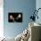 Blue Velvet (photo)-null-Photo displayed on a wall