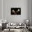 Blue Velvet (photo)-null-Framed Photo displayed on a wall