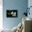 Blue Velvet (photo)-null-Photo displayed on a wall