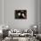 Blue Velvet (photo)-null-Framed Photo displayed on a wall