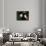 Blue Velvet (photo)-null-Mounted Photo displayed on a wall