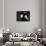 Blue Velvet (photo)-null-Framed Photo displayed on a wall