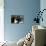 Blue Velvet (photo)-null-Photo displayed on a wall