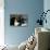 Blue Velvet (photo)-null-Stretched Canvas displayed on a wall