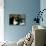 Blue Velvet (photo)-null-Mounted Photo displayed on a wall