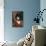 Blue Velvet (photo)-null-Photo displayed on a wall