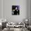 Blue Velvet (photo)-null-Photo displayed on a wall