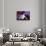 Blue Velvet (photo)-null-Photo displayed on a wall