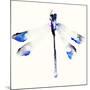 Blue & Violet Dragonfly-Karin Johannesson-Mounted Art Print