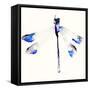 Blue & Violet Dragonfly-Karin Johannesson-Framed Stretched Canvas