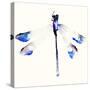 Blue & Violet Dragonfly-Karin Johannesson-Stretched Canvas