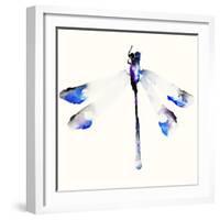 Blue & Violet Dragonfly-Karin Johannesson-Framed Art Print