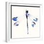 Blue & Violet Dragonfly-Karin Johannesson-Framed Art Print