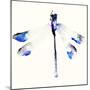 Blue & Violet Dragonfly-Karin Johannesson-Mounted Art Print