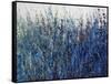 Blue Vision-Tim O'toole-Framed Stretched Canvas