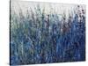 Blue Vision-Tim O'toole-Stretched Canvas