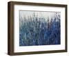 Blue Vision-Tim O'toole-Framed Premium Giclee Print