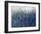 Blue Vision-Tim O'toole-Framed Premium Giclee Print