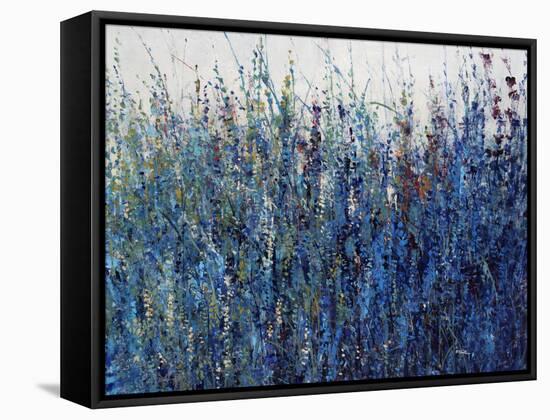 Blue Vision-Tim O'toole-Framed Stretched Canvas