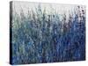 Blue Vision-Tim O'toole-Stretched Canvas