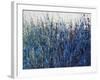 Blue Vision-Tim O'toole-Framed Giclee Print