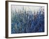 Blue Vision-Tim O'toole-Framed Giclee Print