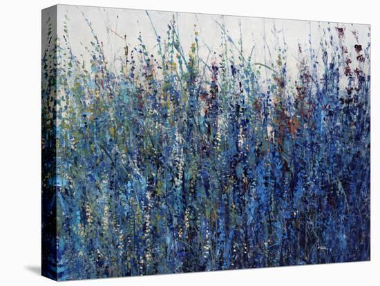 Blue Vision-Tim O'toole-Stretched Canvas