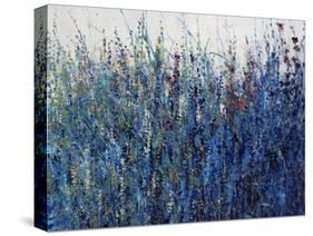 Blue Vision-Tim O'toole-Stretched Canvas