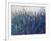 Blue Vision-Tim O'toole-Framed Giclee Print