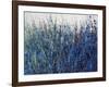 Blue Vision-Tim O'toole-Framed Giclee Print