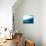 Blue Walk-Josh Adamski-Stretched Canvas displayed on a wall