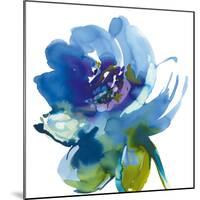 Blue Wash II-Sandra Jacobs-Mounted Giclee Print