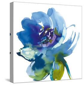 Blue Wash II-Sandra Jacobs-Stretched Canvas