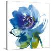 Blue Wash II-Sandra Jacobs-Stretched Canvas