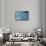 Blue Water 7870-Rica Belna-Framed Stretched Canvas displayed on a wall