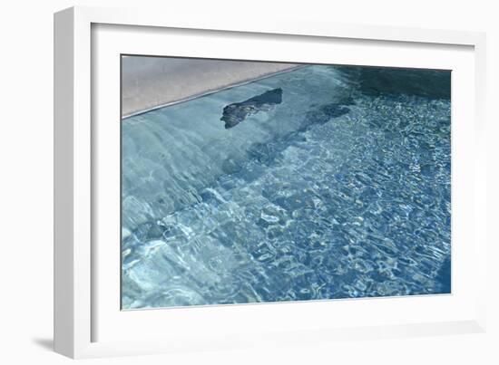 Blue Water 7870-Rica Belna-Framed Giclee Print